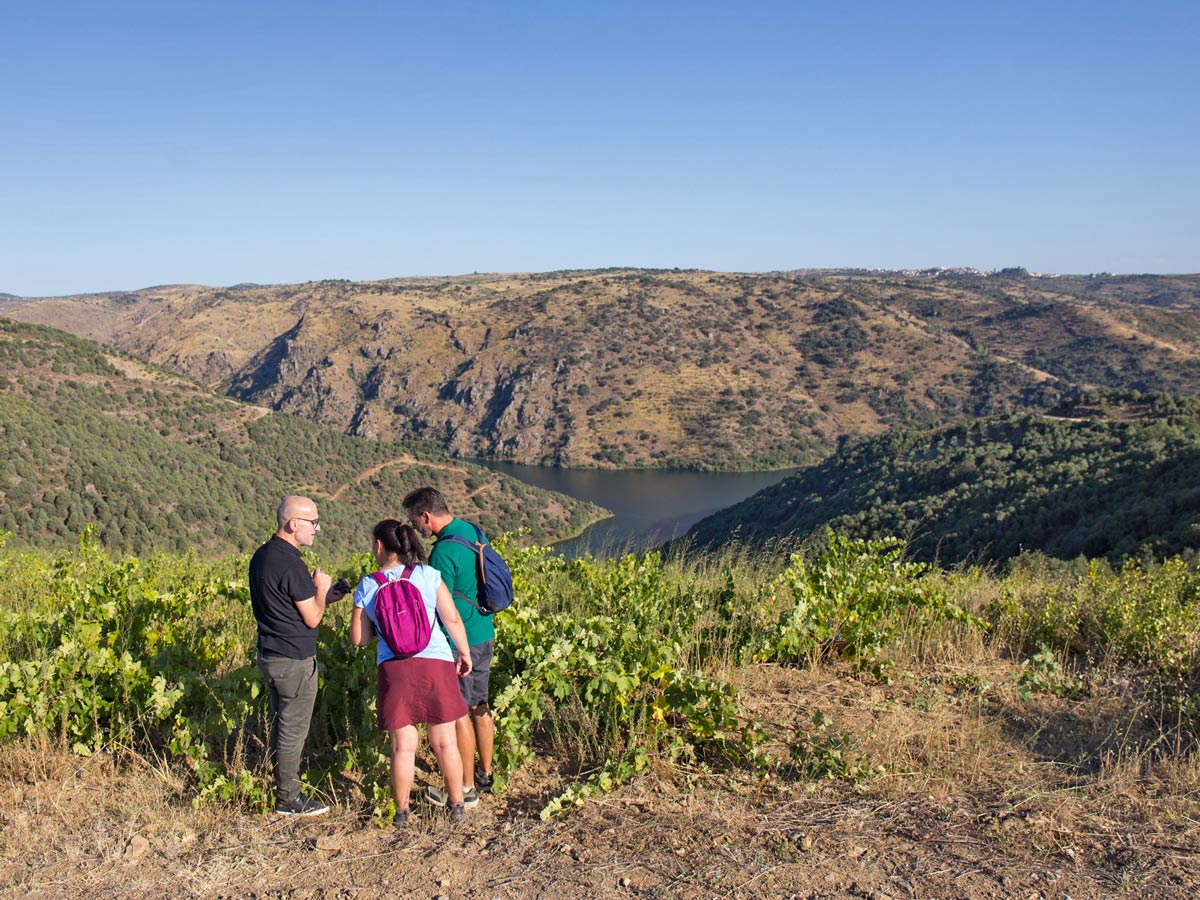 Learning about local plants vegetation Douro National Park adventure tour Portugal
