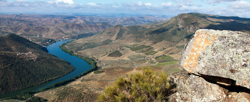 Douro Natural Park Hiking Tour