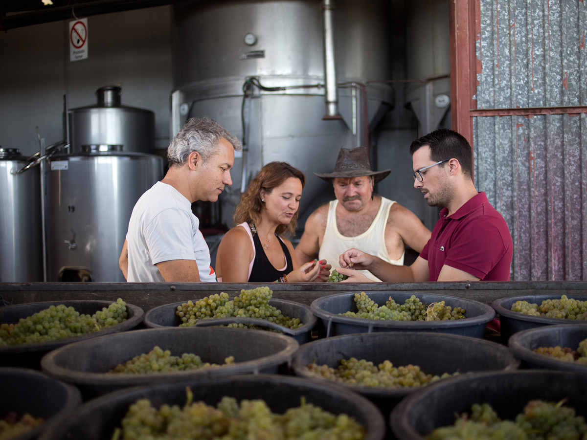 Learning wine making Douro wine region Portugal hiking