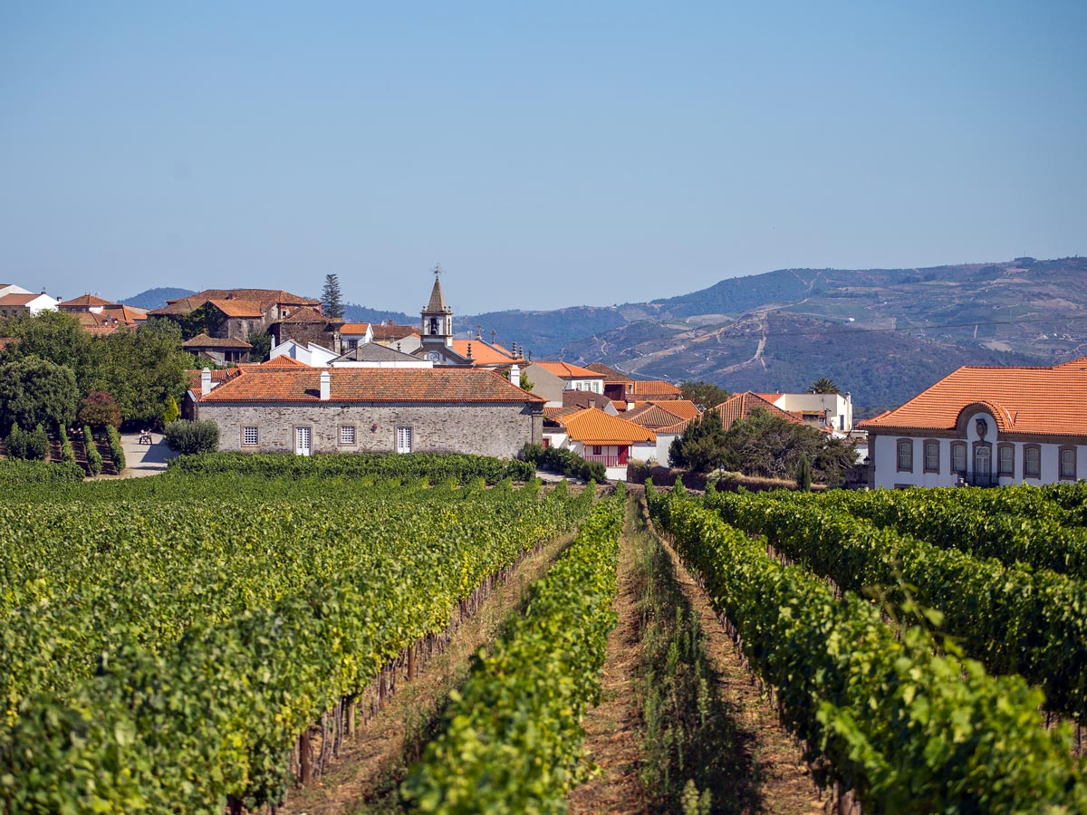 Vineyard winery village Douro wine region Portugal hiking