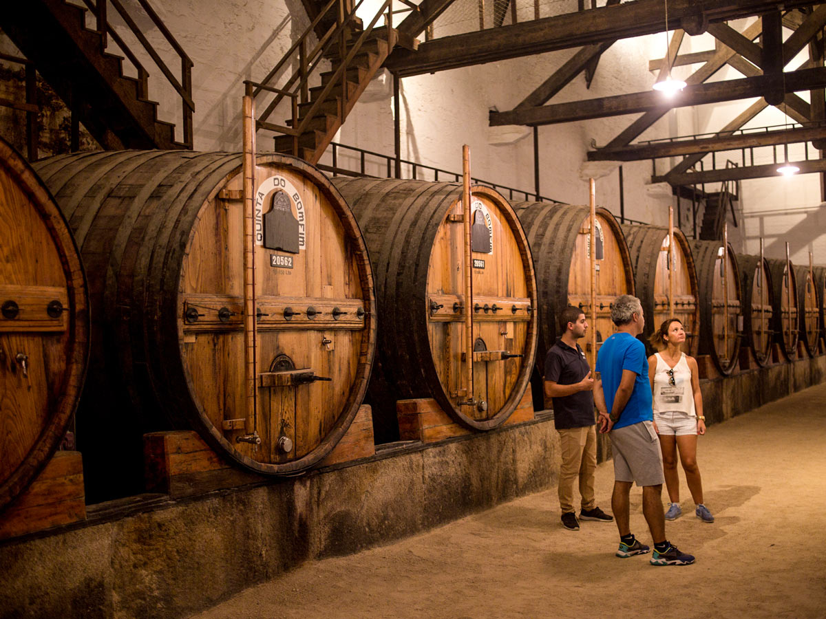 Touring wine cellar Douro wine region in Portugal hiking adventure tour