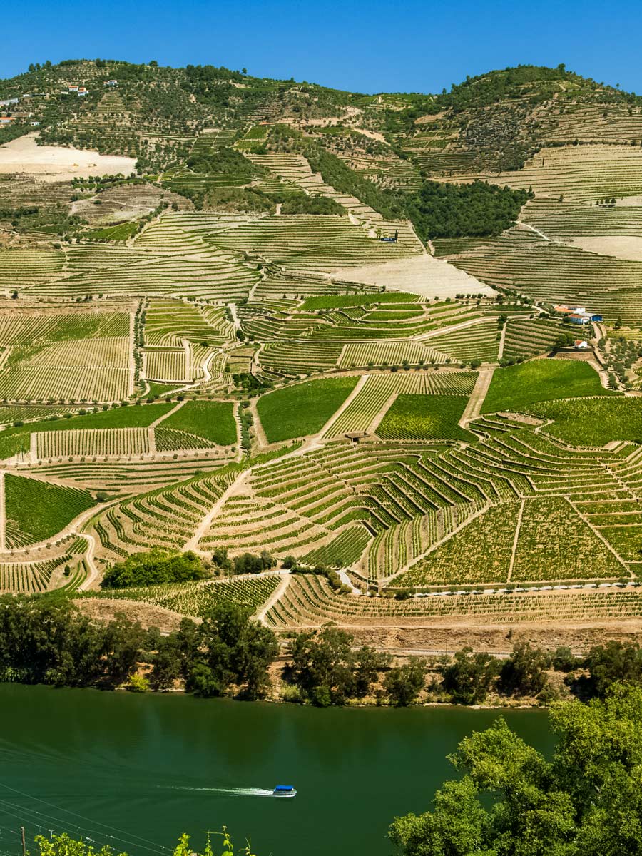 Farmland vineyards Portugal bike tour Duoro Valley