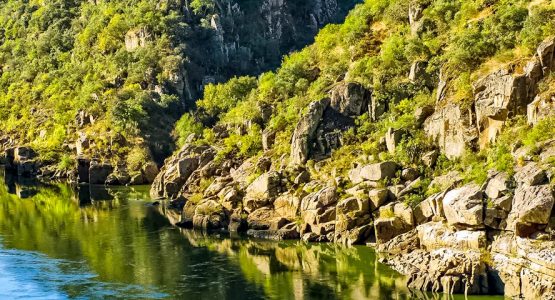 Biking the Douro Valley