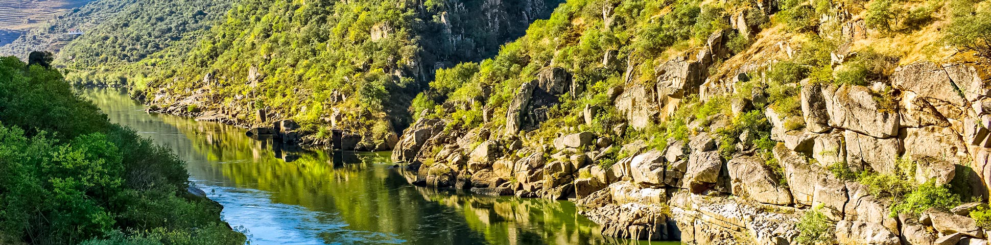 Biking the Douro Valley