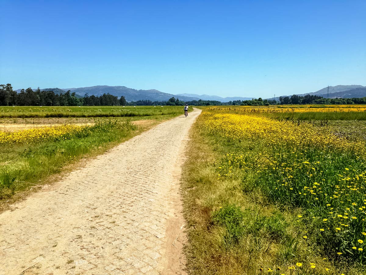 Countryside adventure family bike riding tour Minho Portugal