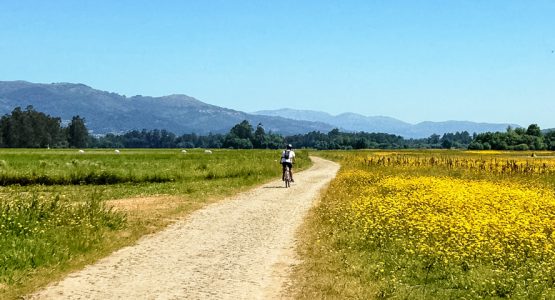 Minho Region Family Bike Tour