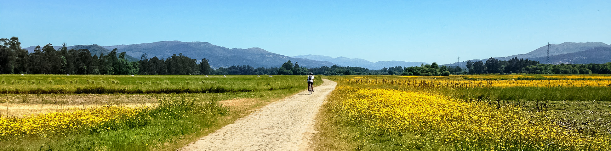Minho Region Family Bike Tour
