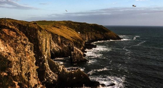 Rugged shores of Cork (cycling tour)