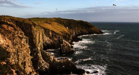 Rugged shores of Cork (cycling tour)