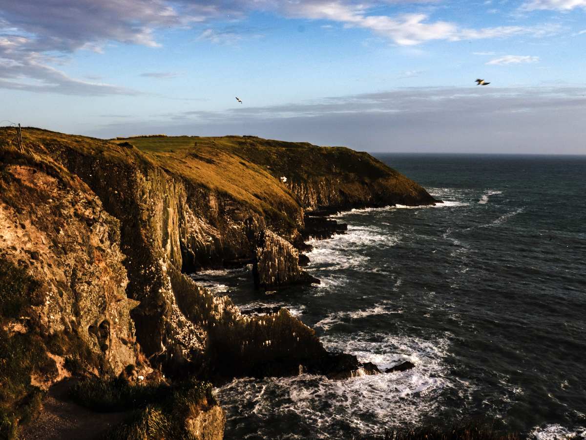 Rugged shores of Cork (cycling tour)