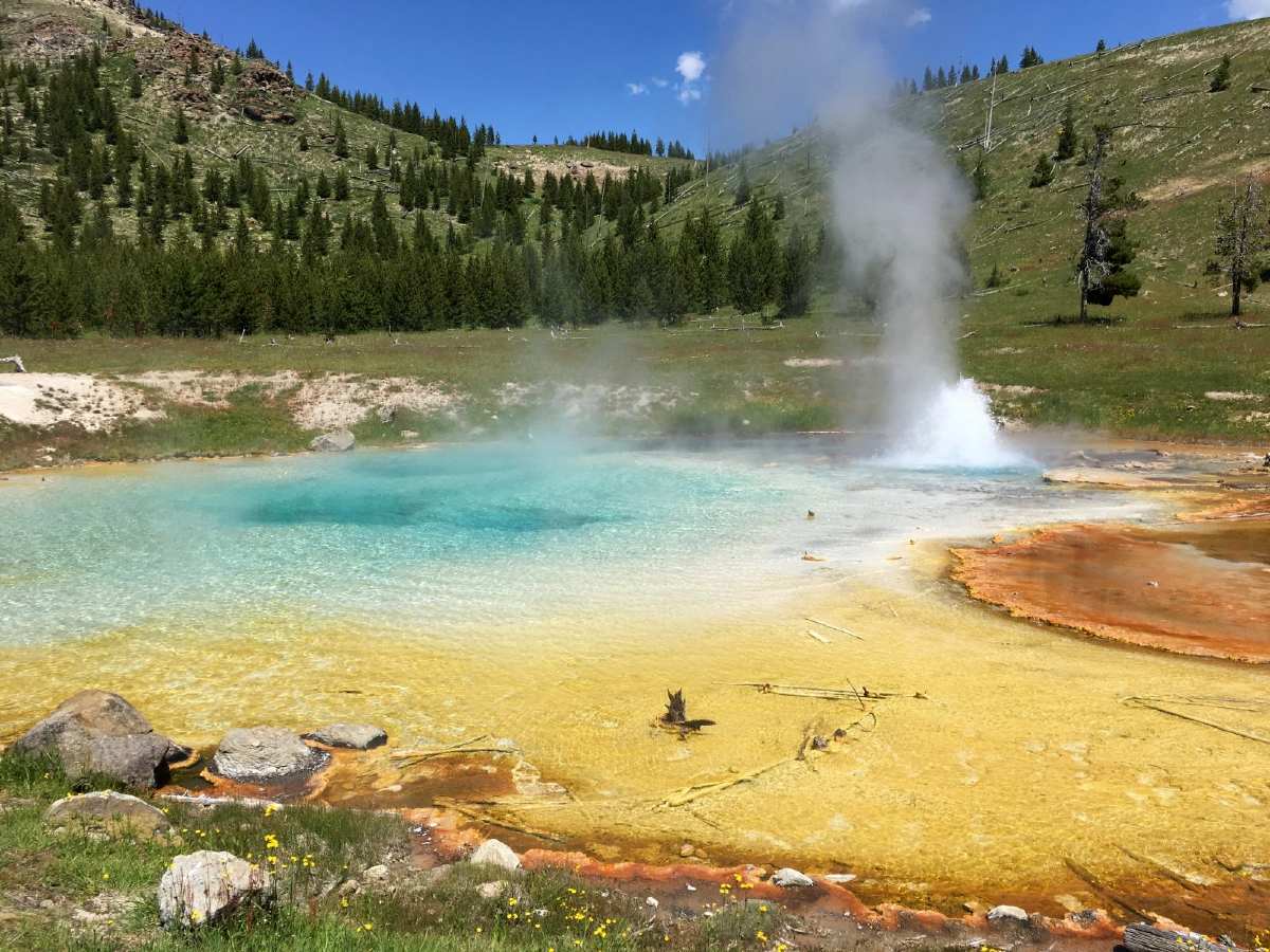 Sulphur geyser in Yellowstone National Park