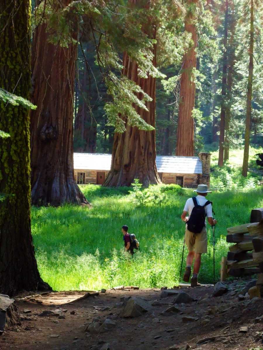 Hiking through sequoias