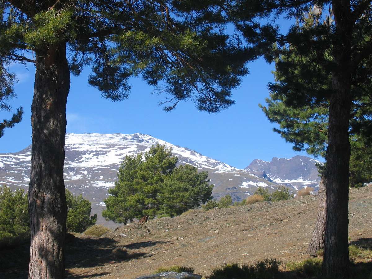 Mountain views along the Alpujarra Trek