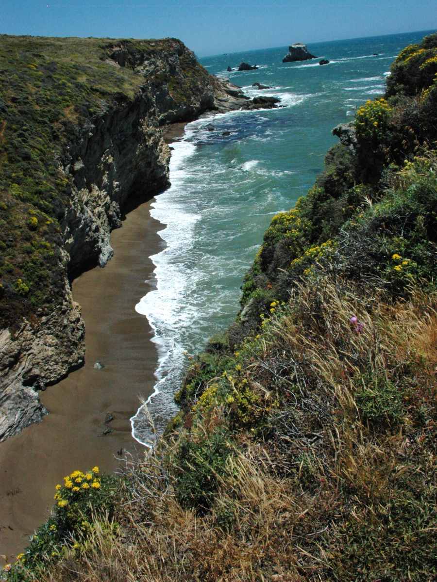 Rugged shores near San Francisco, seen on a guided tour