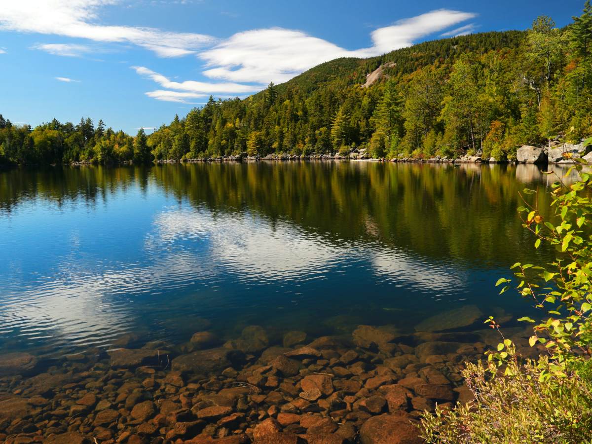 Sunny day near the lake in the Adirondack Mountains