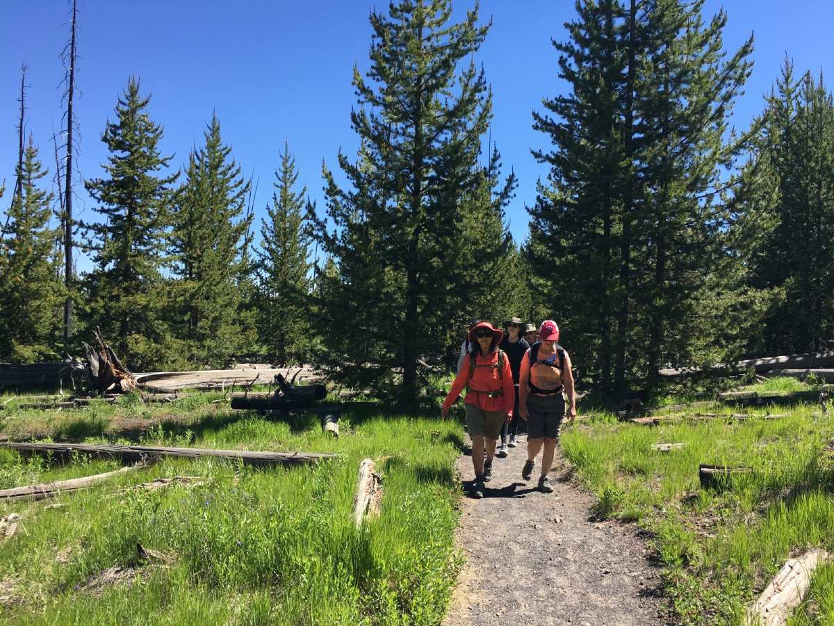 Group of hikers on a path in Yellowstone