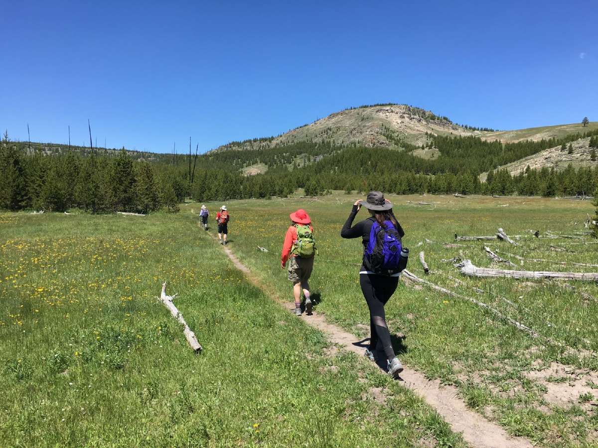 Group of hikers exploring the Yellowstone