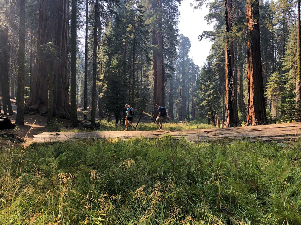 Couple hiking in Sequoias National Park