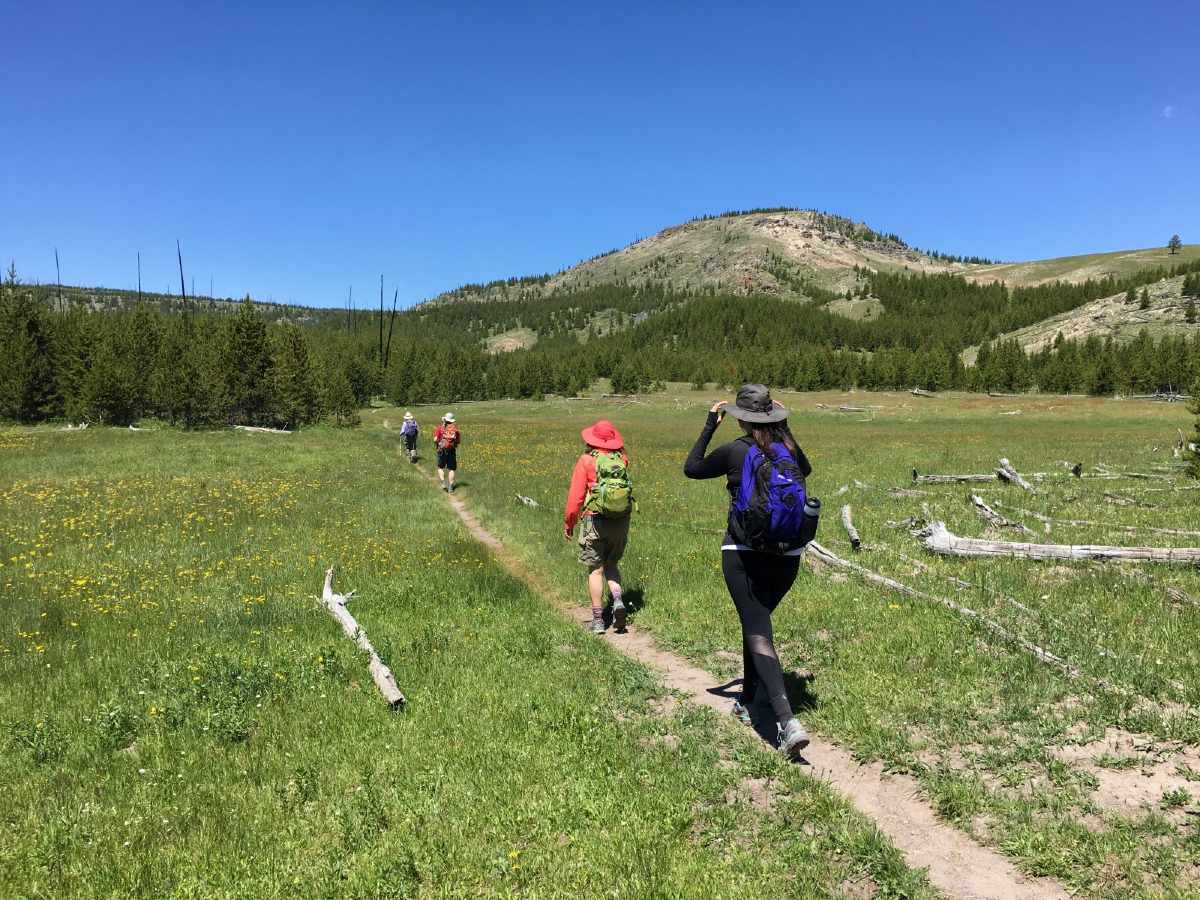 Walking in the beautiful meadow in Yellowstone