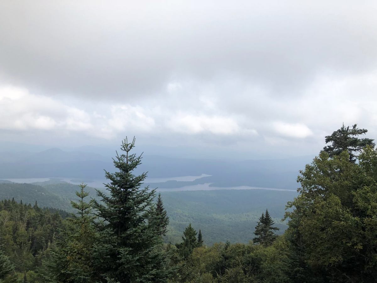 Looking at the beautiful river in Adirondack Mountains