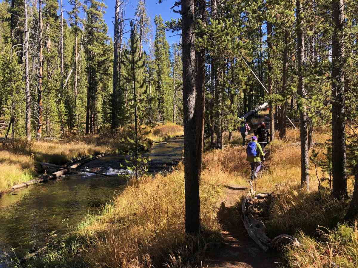 Walking along the river in Yellowstone