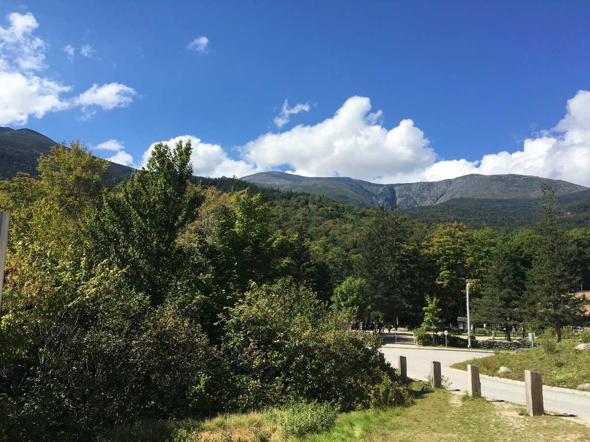 Green views in Adirondack Mountains