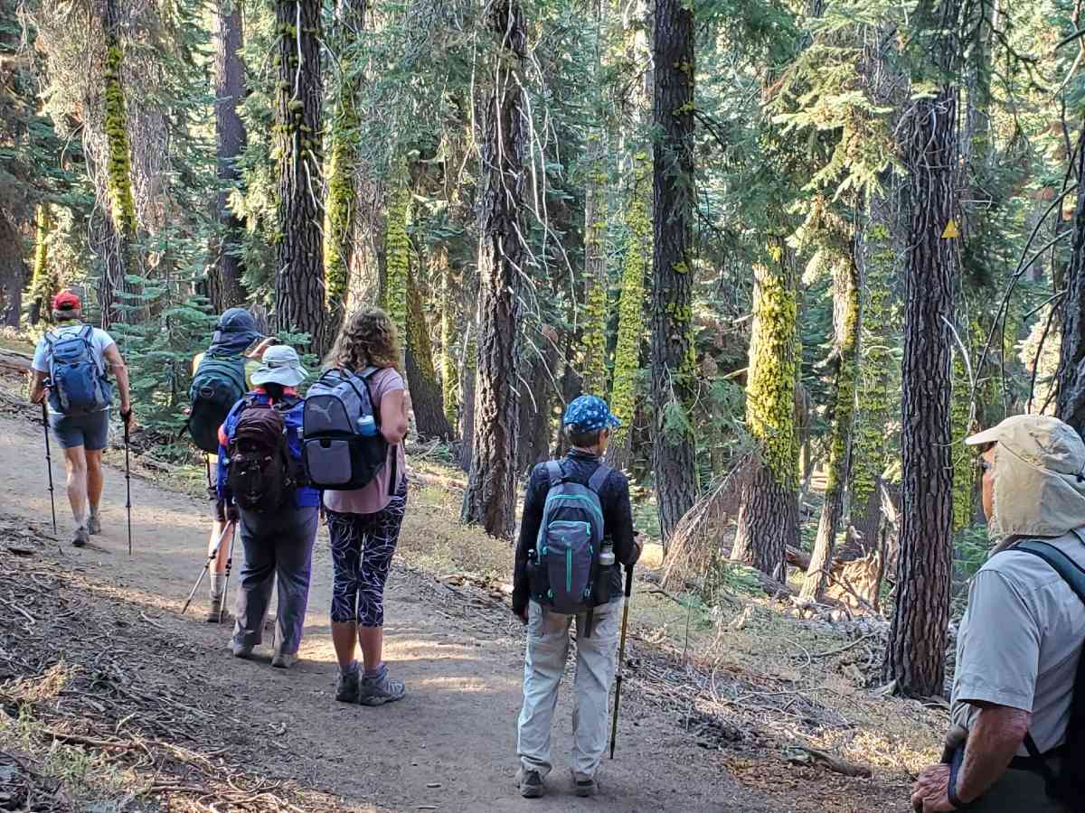Group of hikers observing the views in Sequoia National Park