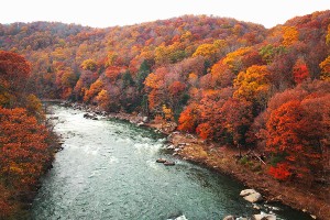 Great Allegheny Passage Biking