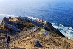 Point Reyes Hiking Tour