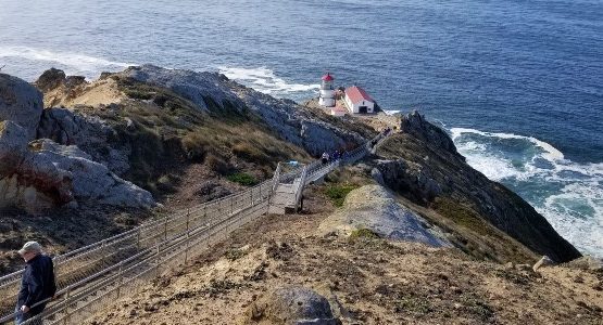 Point Reyes Hiking Tour