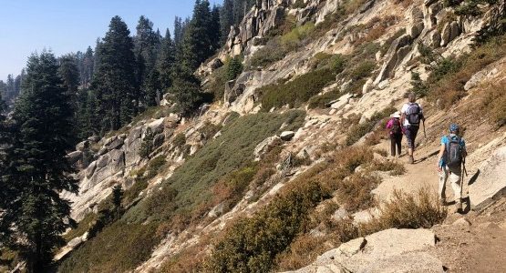 Sequoia and Kings Canyon Hiking Tour