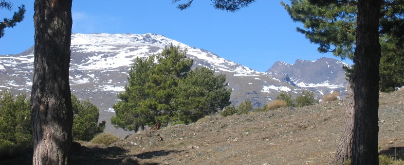 Alpujarras and Granada Walking Tour