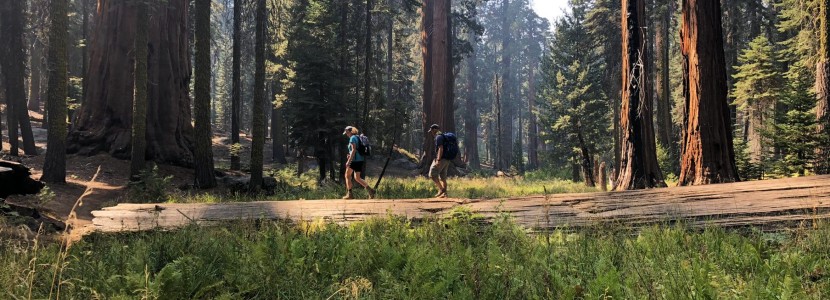 Sequoia and Kings Canyon Hiking Tour