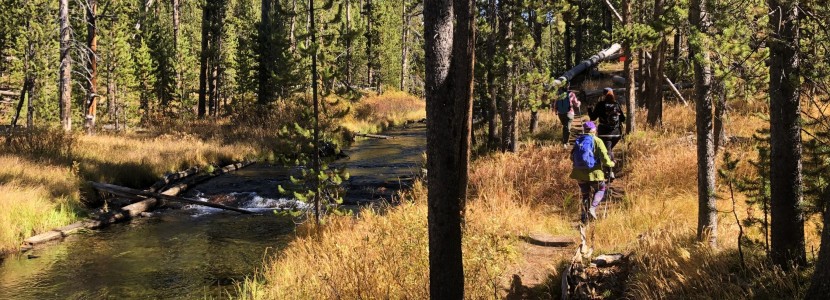 Yellowstone Hiking Adventure