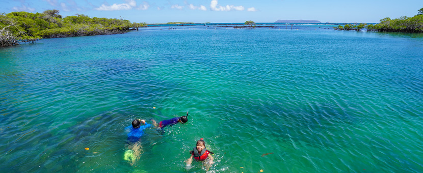 Galapagos and Amazon Family Adventure