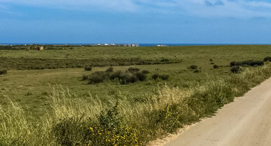 Vicentina Coast Walking Tour