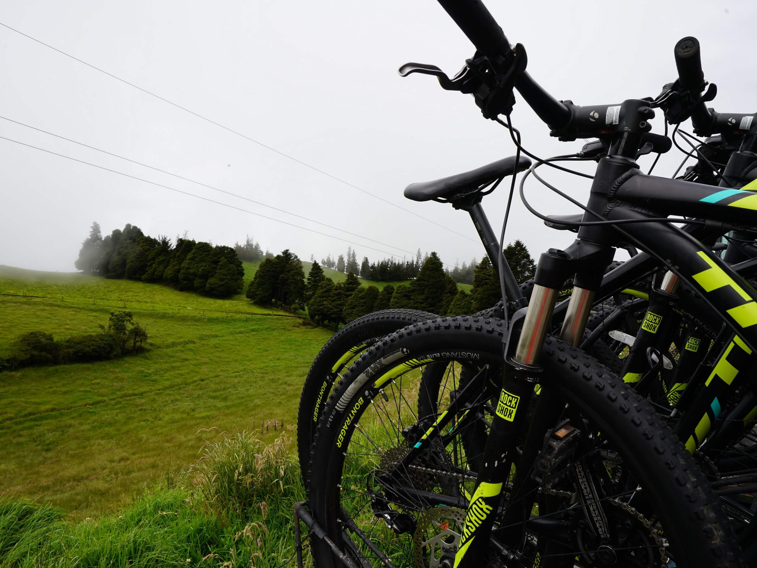 Bikes (Cycling tour through the Ecuador rainforest)