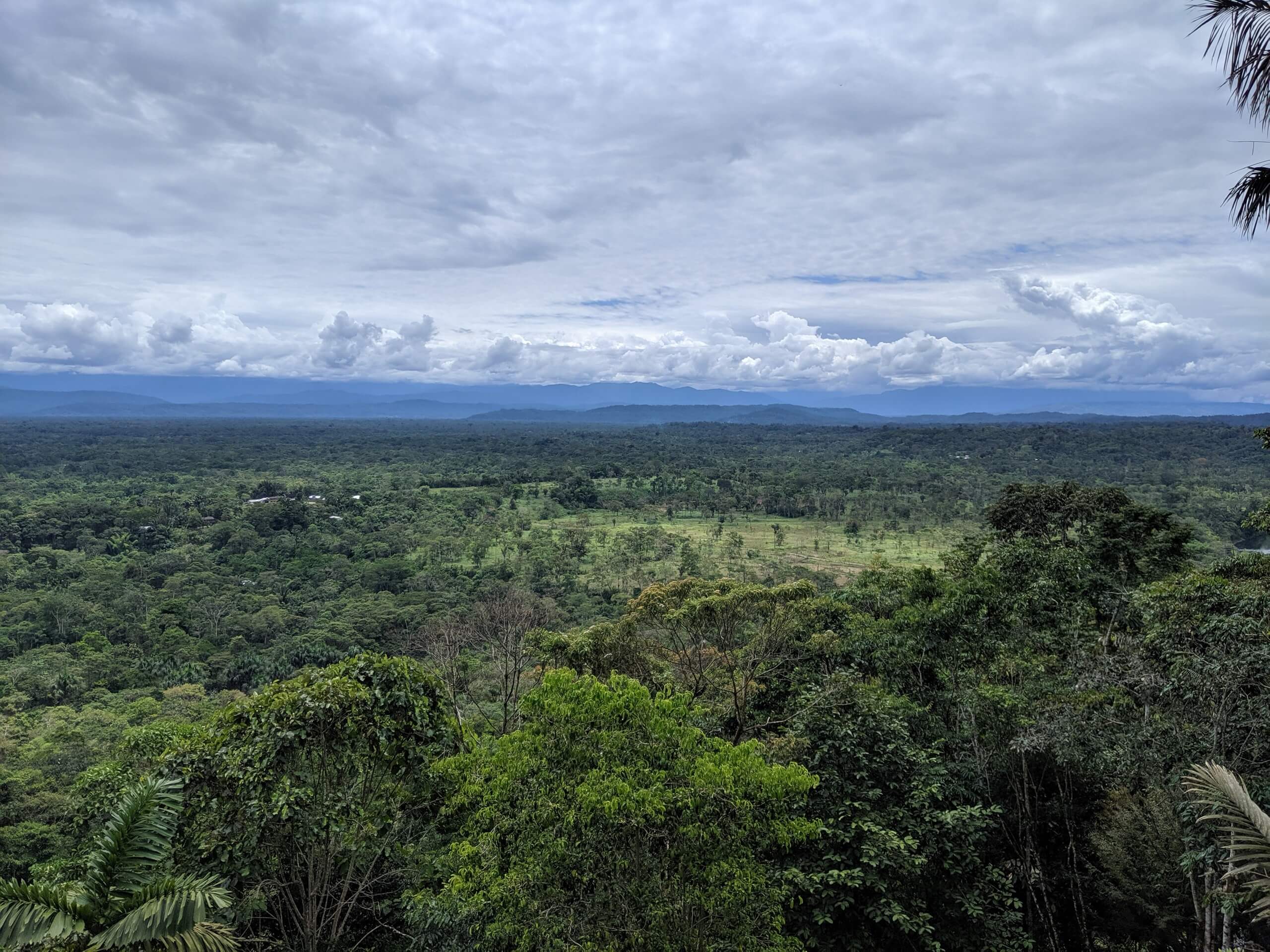 Beautiful mountain views behind the Ecuadorian Jungle