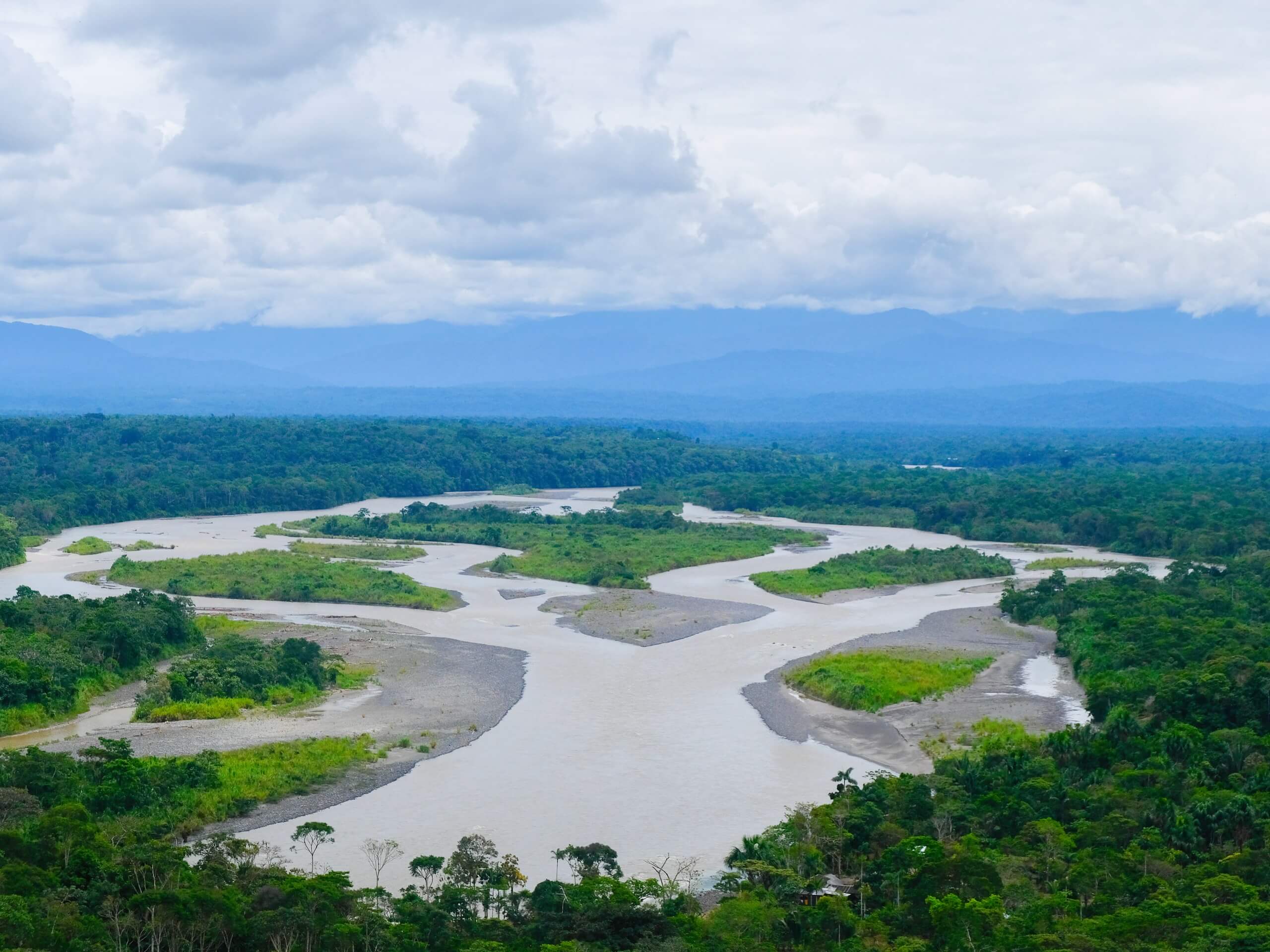 Amazon Rainforest