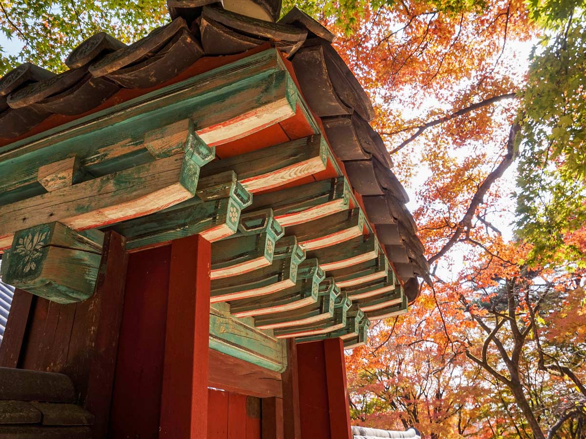 The bulguksa temple beautiful authentic arcitecture adventure bike tour South Korea