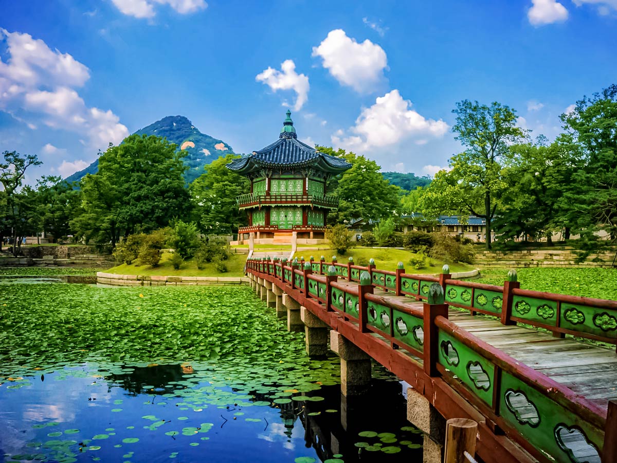 Gyeongbokgung palace lily pads pond adventure bike tour South Korea