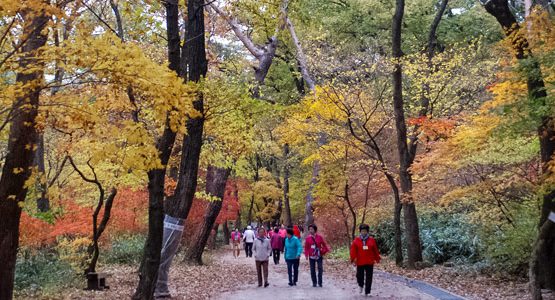 Adventure and Culture in South Korea Tour