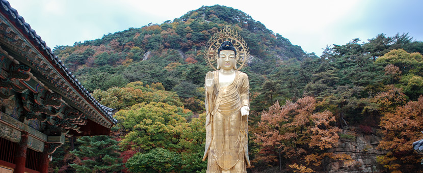 Adventure and Culture in South Korea Tour