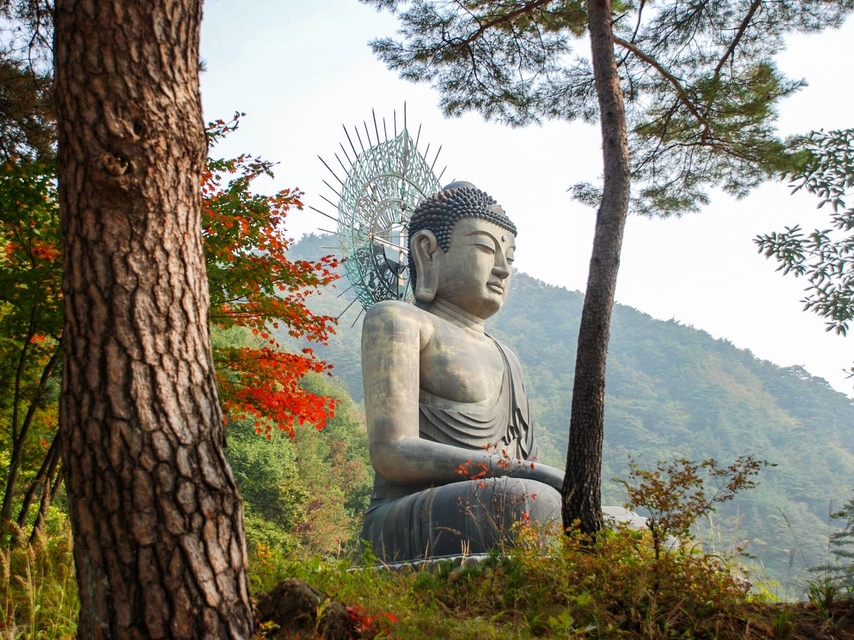 Buddha statue in the forest hiking South Korea adventure trekking tour asia