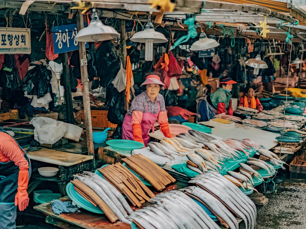 Jagalchi fish market exploring South Korea adventure tour