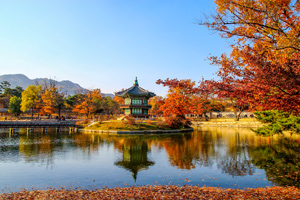 14-Day Seoul to Seoraksan Hiking Tour