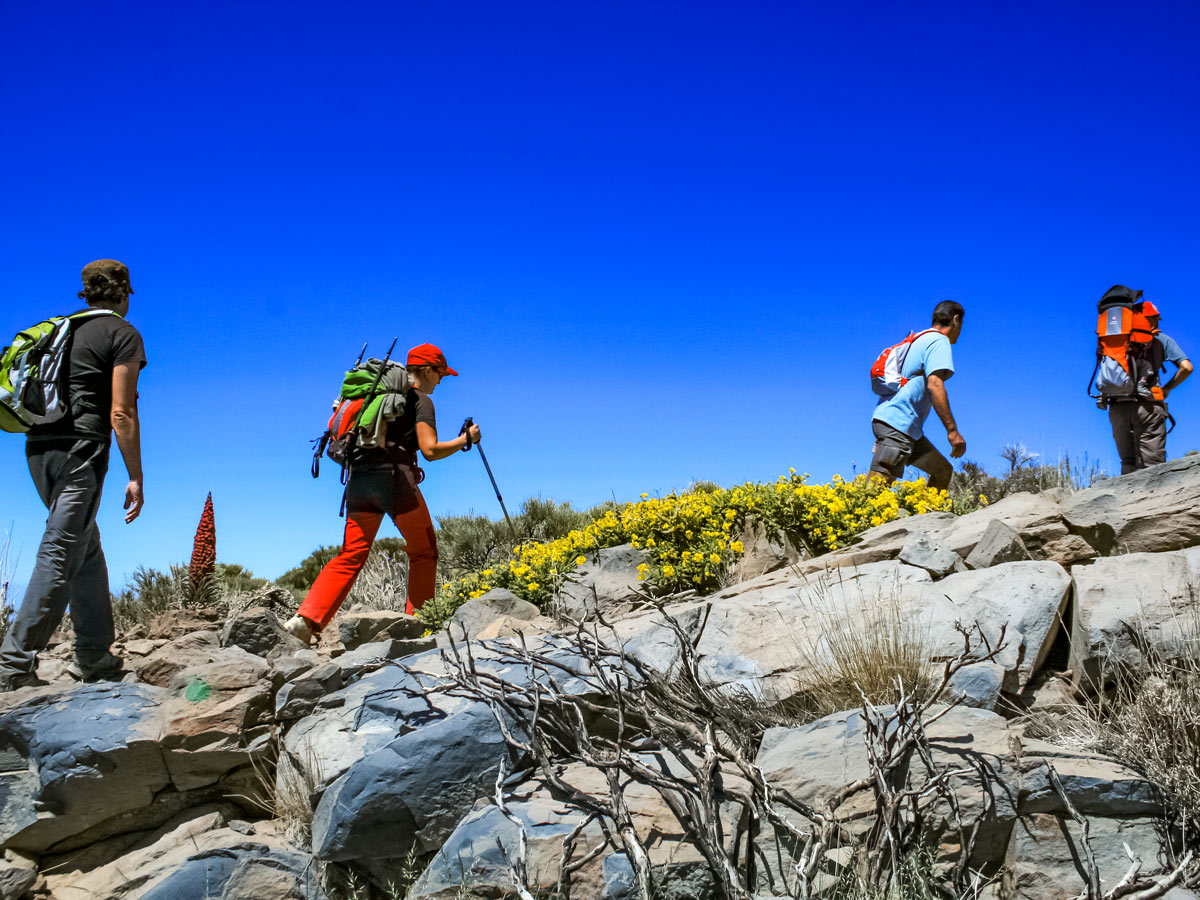 Teide National Park Hikers Tenerife walking hiking Tenerife Canary Islands Spain