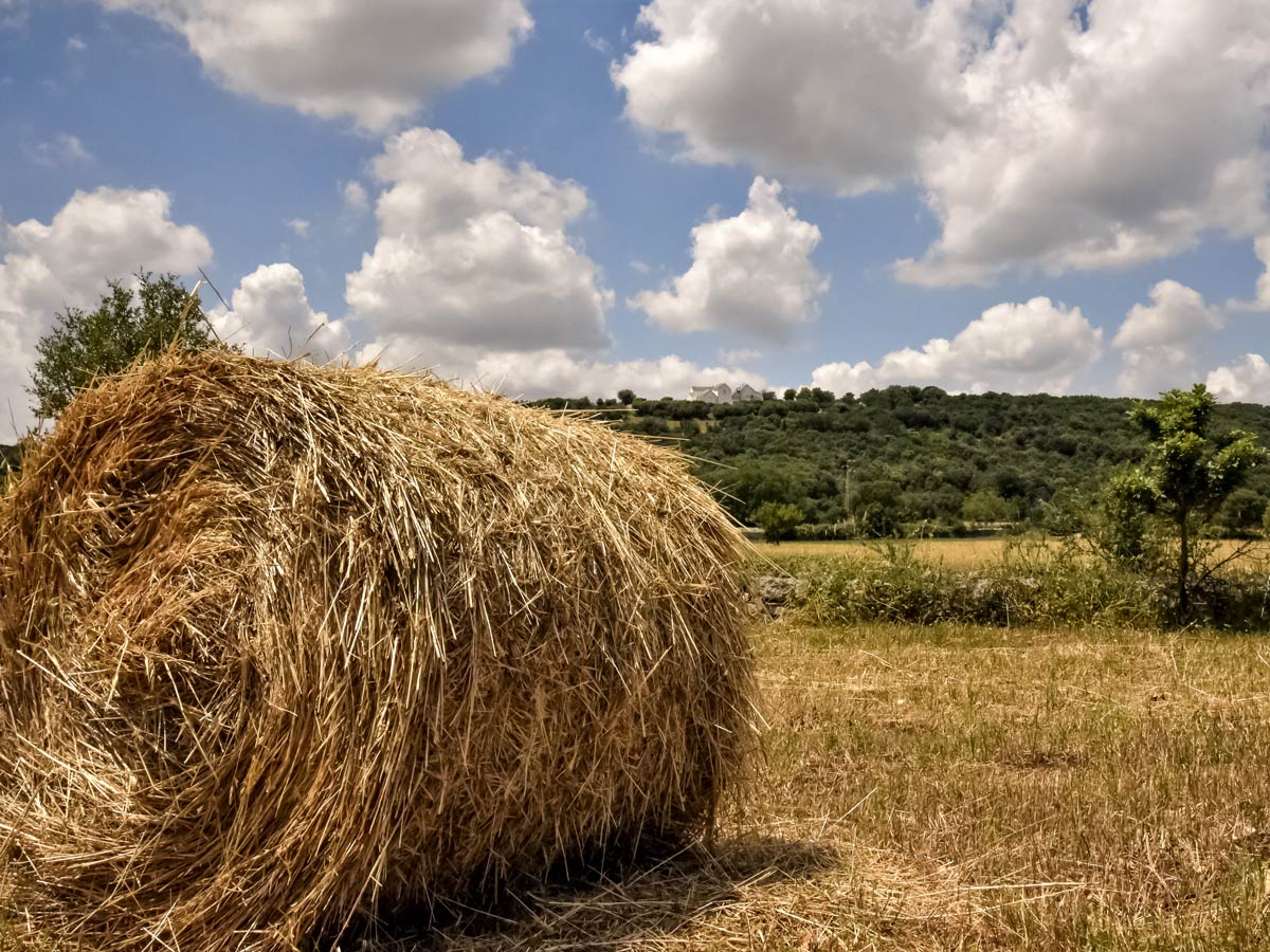 Barsento hay bales