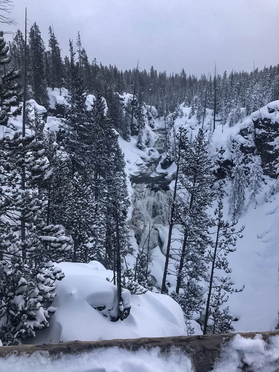 Yellowstone snow winter snowshoe adventure tour Yellowstone National Park USA