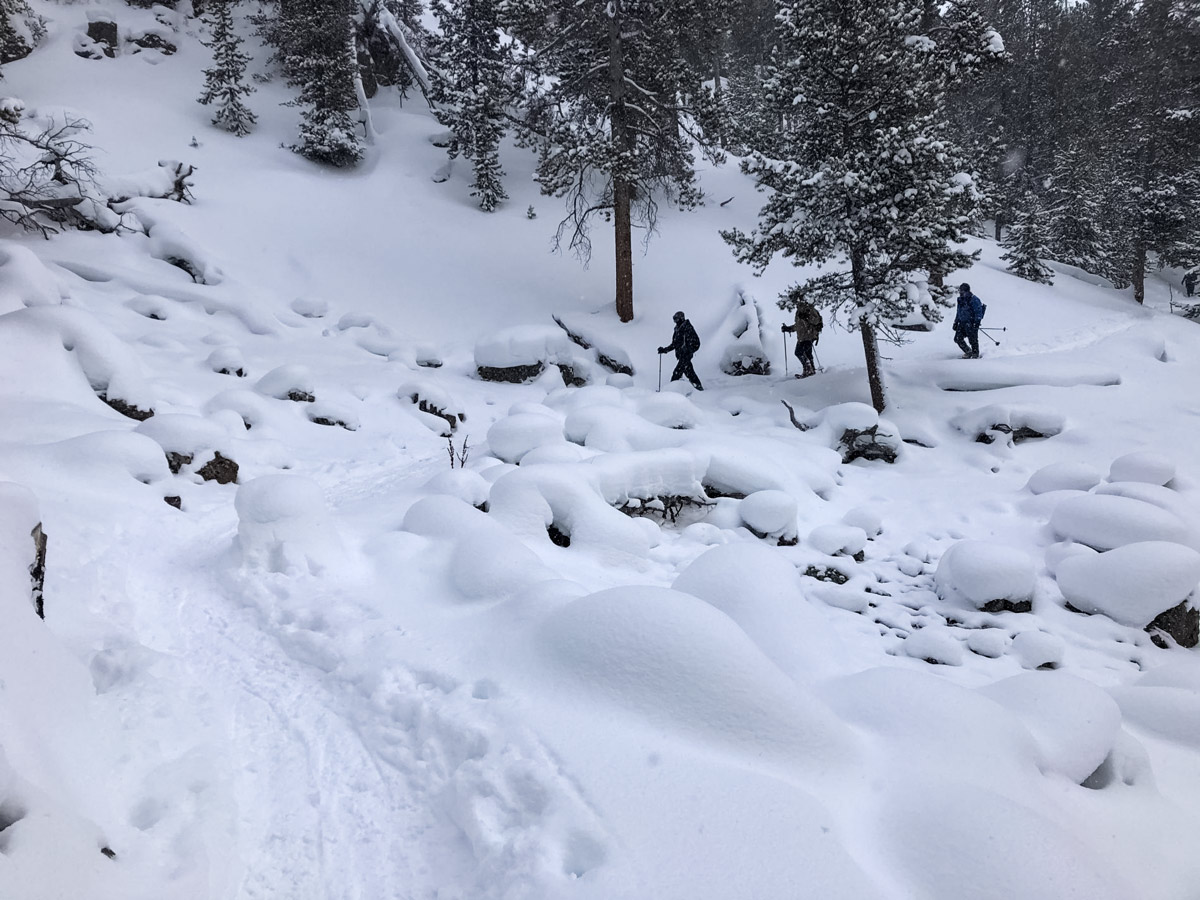 Yellowstone snow GeyserHill snowshoe adventure tour Yellowstone National Park USA